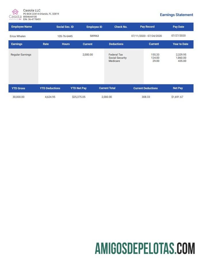 Casiola Llc Earnings Employee Paystub baixar para verificação
